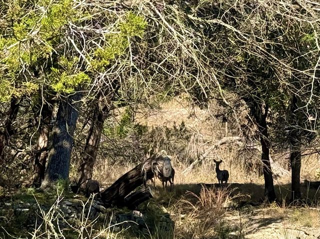 204 Aqua Vista Dr, Kerrville, TX 78028