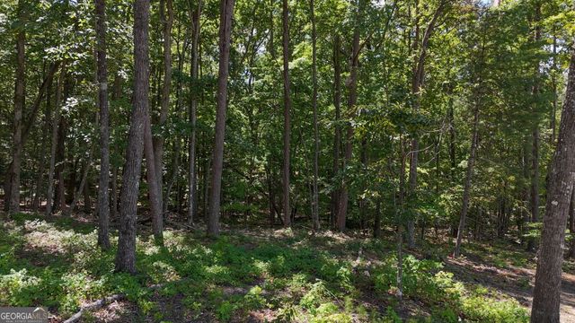 0 Sautee Ridge Road, Clarkesville, GA 30523