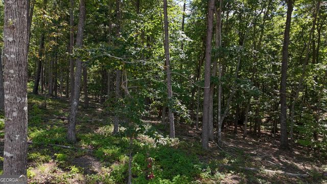 0 Sautee Ridge Road, Clarkesville, GA 30523