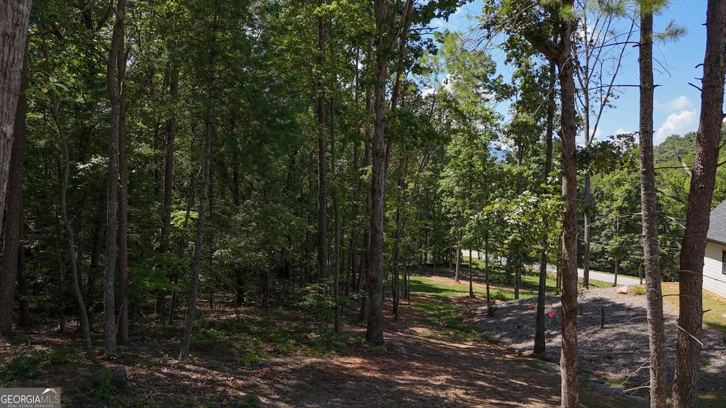 0 Sautee Ridge Road, Clarkesville, GA 30523