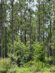 00 ROYAL PINES Drive, Middleburg, FL 32068