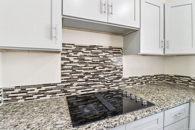 19906 PARK BLUFF ST, San Antonio, TX 78259