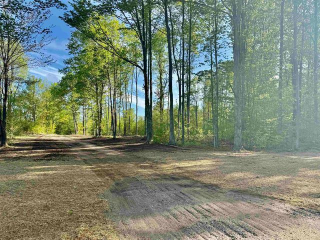 1155 E Solaris Way, Maple City, MI 49664