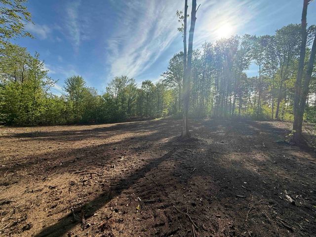 1155 E Solaris Way, Maple City, MI 49664