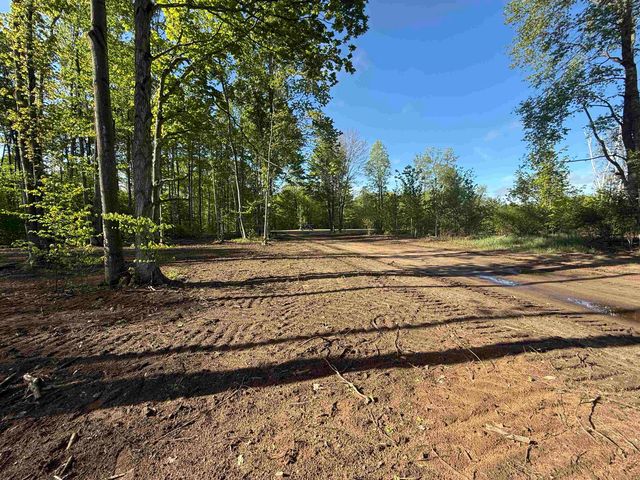 1155 E Solaris Way, Maple City, MI 49664