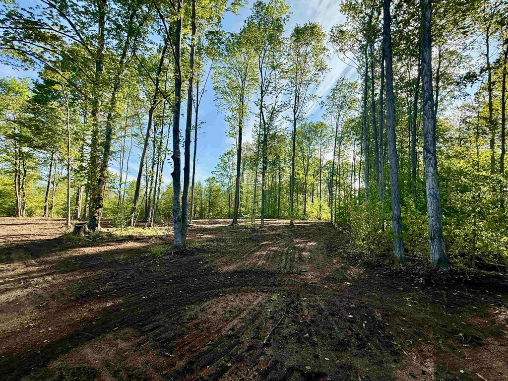 1155 E Solaris Way, Maple City, MI 49664