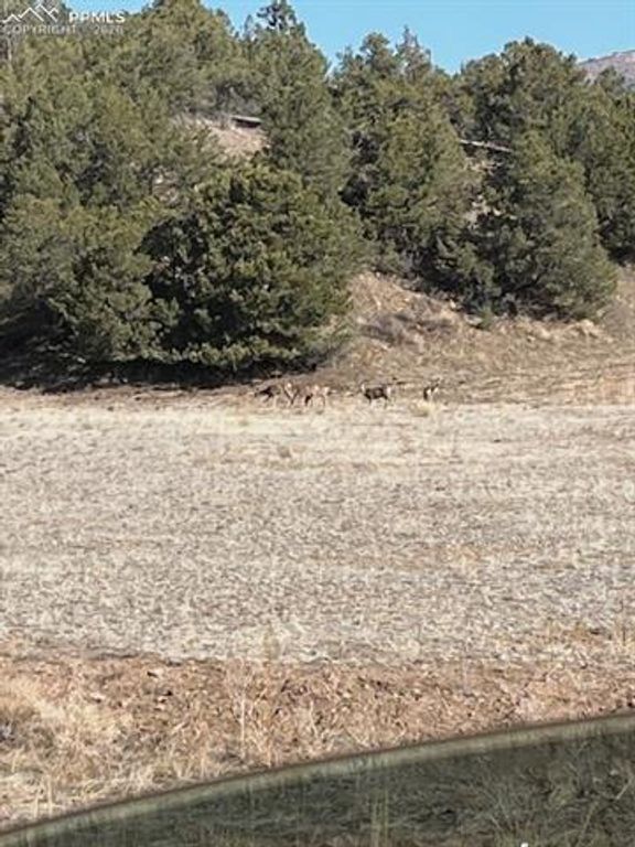 Lot 17 S Dunn Drive, Canon City, CO 81212 — photo 2