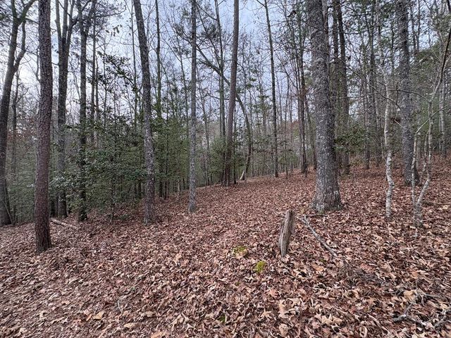 4 Lots Old Johnson Road, Murphy, NC 28906