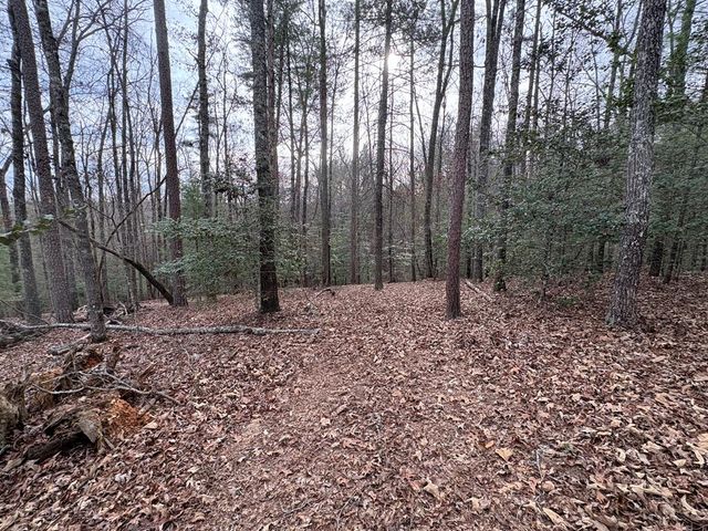 4 Lots Old Johnson Road, Murphy, NC 28906
