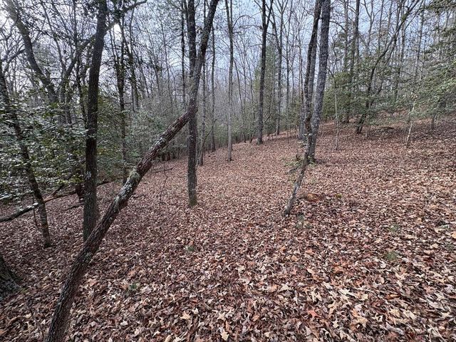 4 Lots Old Johnson Road, Murphy, NC 28906