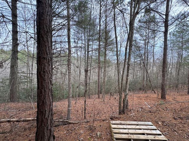 4 Lots Old Johnson Road, Murphy, NC 28906