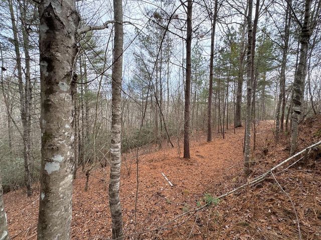 4 Lots Old Johnson Road, Murphy, NC 28906