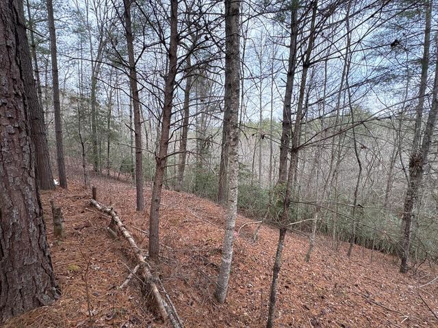 4 Lots Old Johnson Road, Murphy, NC 28906