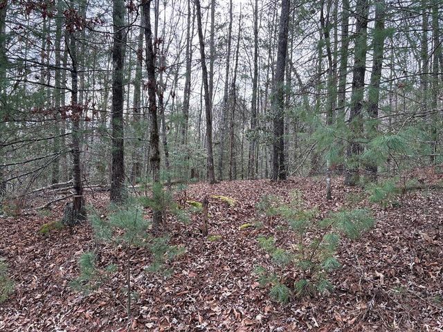 4 Lots Old Johnson Road, Murphy, NC 28906