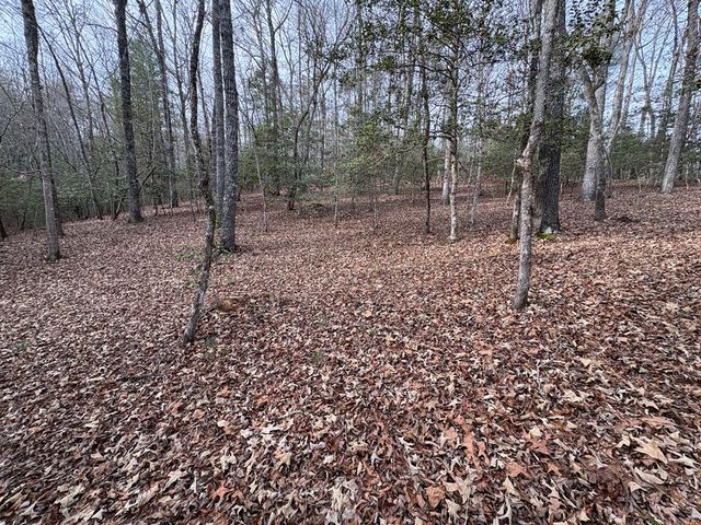 4 Lots Old Johnson Road, Murphy, NC 28906