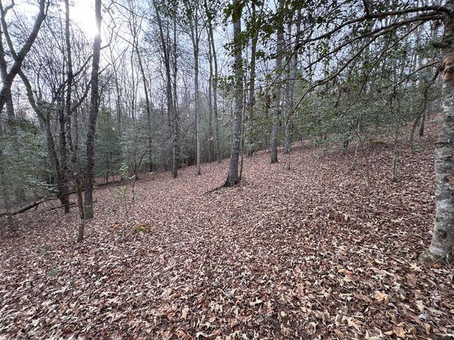 4 Lots Old Johnson Road, Murphy, NC 28906