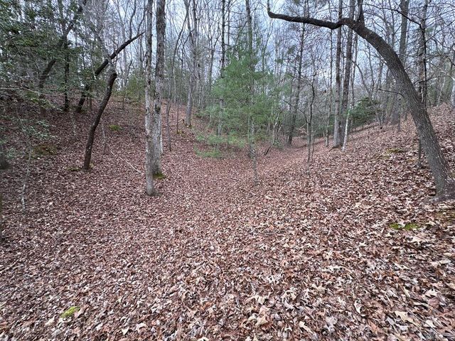 4 Lots Old Johnson Road, Murphy, NC 28906