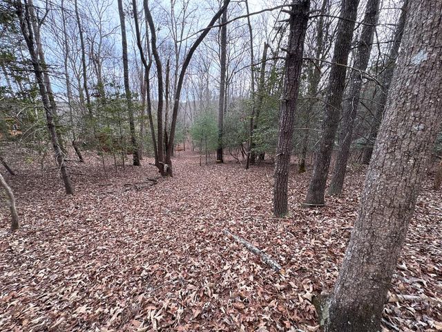 4 Lots Old Johnson Road, Murphy, NC 28906