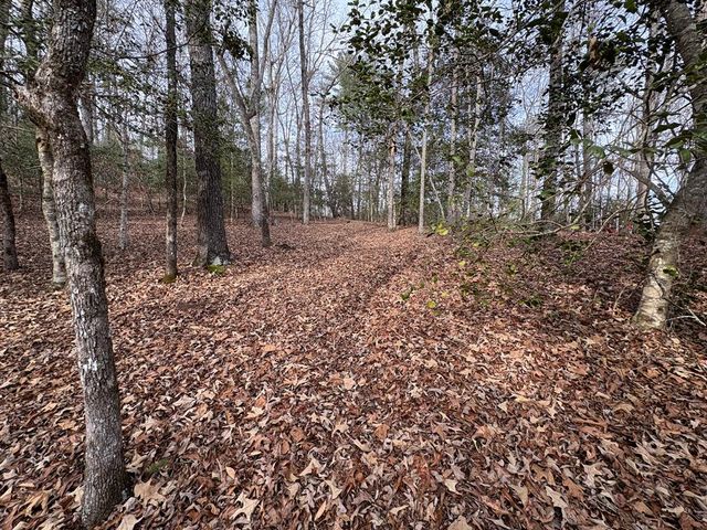 4 Lots Old Johnson Road, Murphy, NC 28906