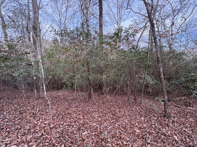4 Lots Old Johnson Road, Murphy, NC 28906