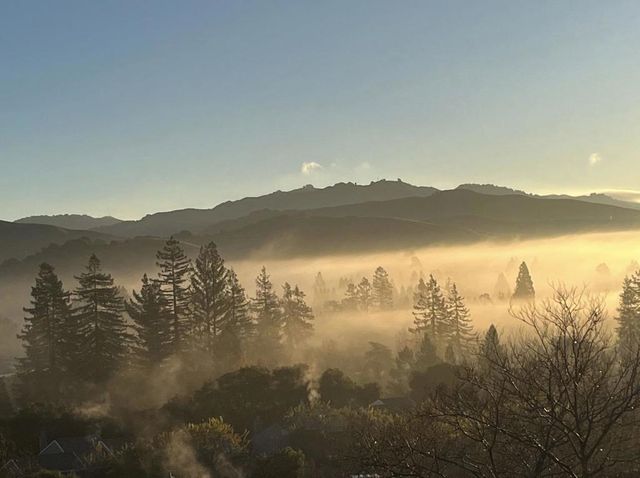 118 Merion Terrace, Moraga, CA 94556