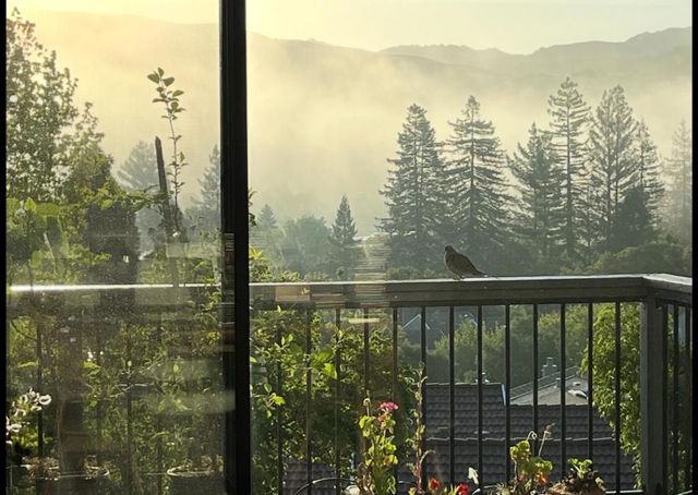 118 Merion Terrace, Moraga, CA 94556