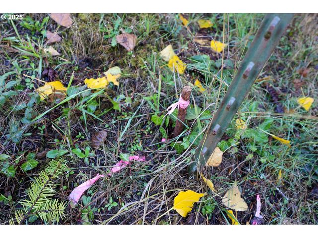 0 East Bay Rd, North Bend, OR 97459