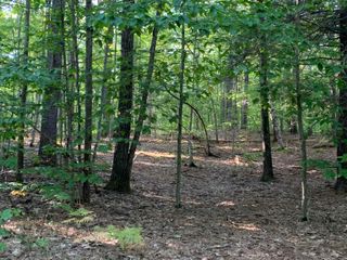 20 Quimby Drive # 20, Northwood, NH 03261