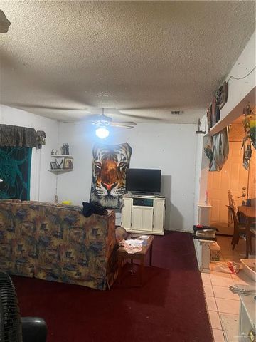 3912 & 3914 N Los Ebanos Road, Mission, TX 78573