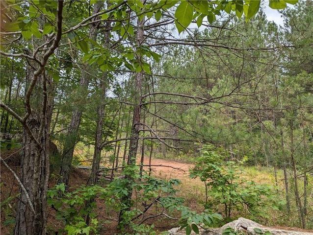7900 Downs Road, Winston, GA 30187
