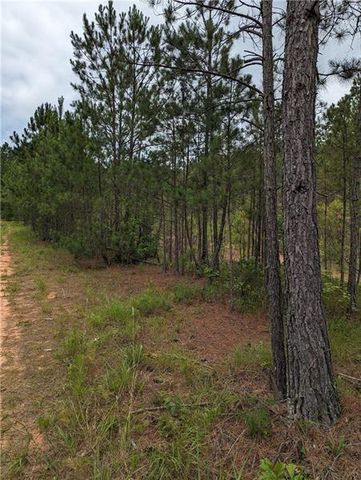 7900 Downs Road, Winston, GA 30187