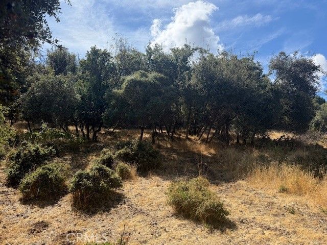 10789 Harbor Road, Kelseyville, CA 95451