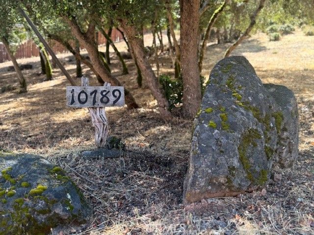 10789 Harbor Road, Kelseyville, CA 95451