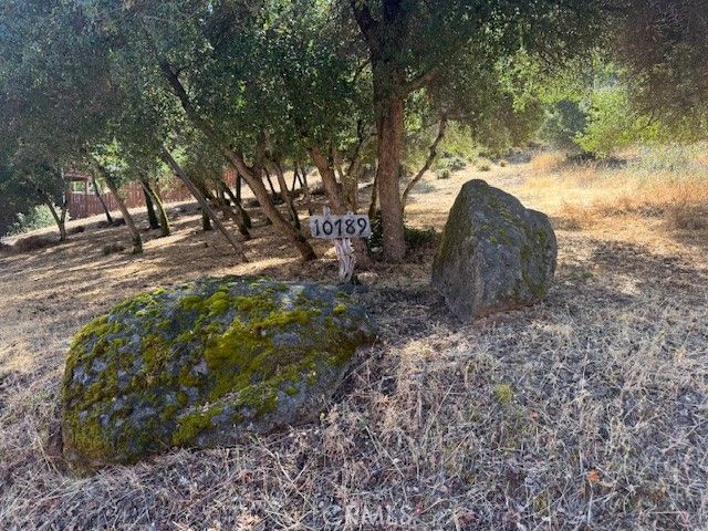 10789 Harbor Road, Kelseyville, CA 95451