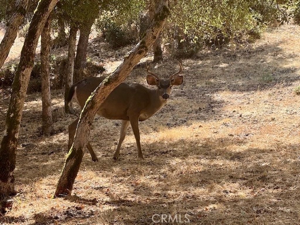 10789 Harbor Road, Kelseyville, CA 95451