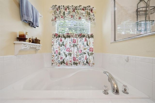 2243 WOLF RIDGE LANE, Mount Dora, FL 32757