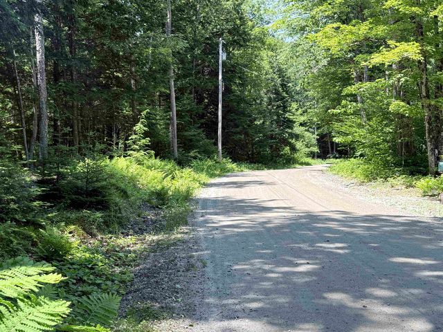 729 Davis Road, Cavendish, VT 05142
