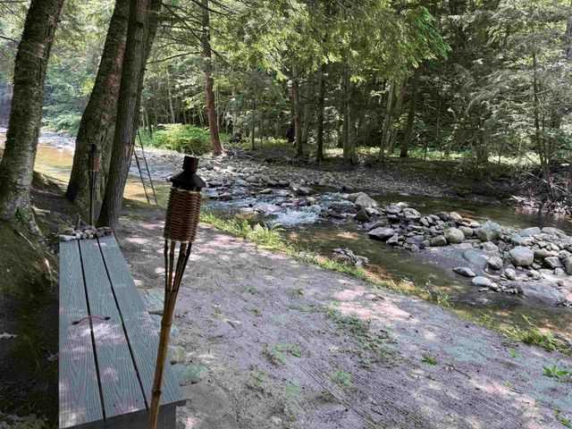 729 Davis Road, Cavendish, VT 05142