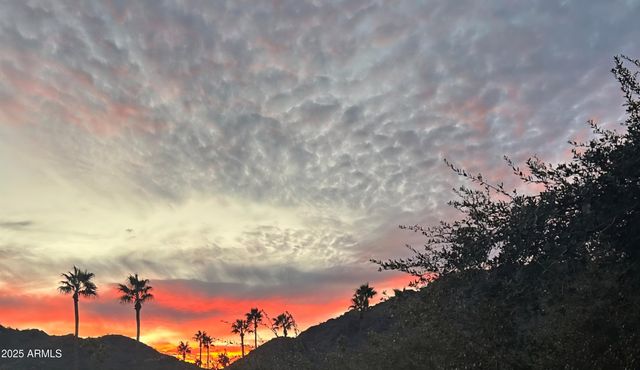 10655 N 9TH Street 203, Phoenix, AZ 85020