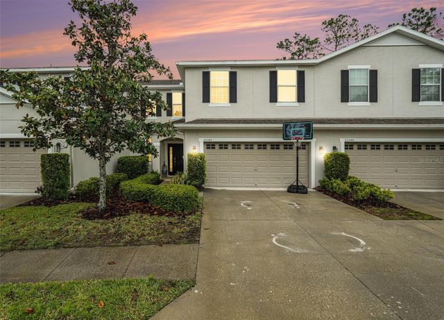 20542 GRAND VISTA LANE, Tampa, FL 33647