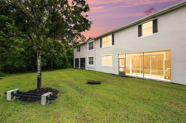 20542 GRAND VISTA LANE, Tampa, FL 33647