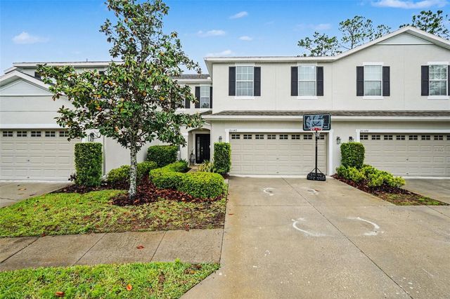 20542 GRAND VISTA LANE, Tampa, FL 33647