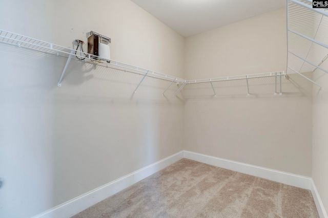 254 Thacher Loop, Elgin, SC 29045