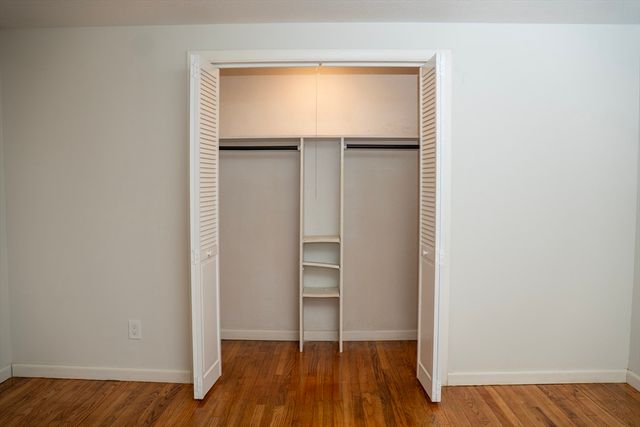 159 Roy, Springfield, MA 01104