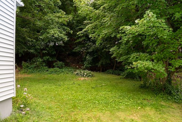 159 Roy, Springfield, MA 01104