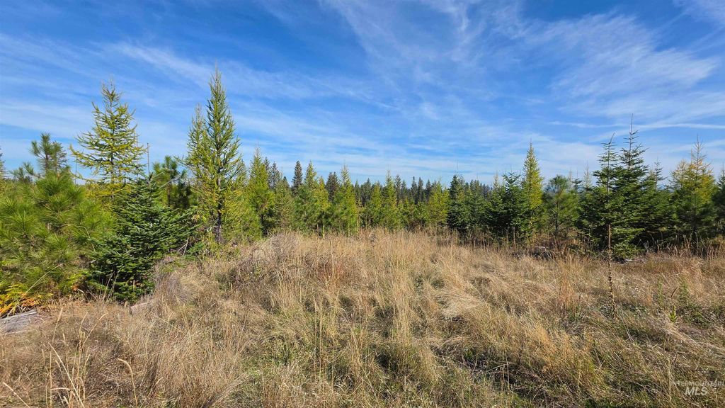 0 Timberline Heights, Parcel 2, Weippe, ID 83553 photo 4