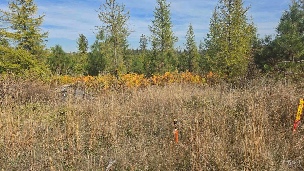 0 Timberline Heights, Parcel 2, Weippe, ID 83553 photo 5