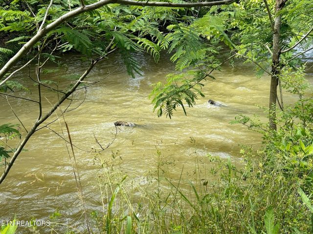 2065 Waldens Creek Rd, Sevierville, TN 37862