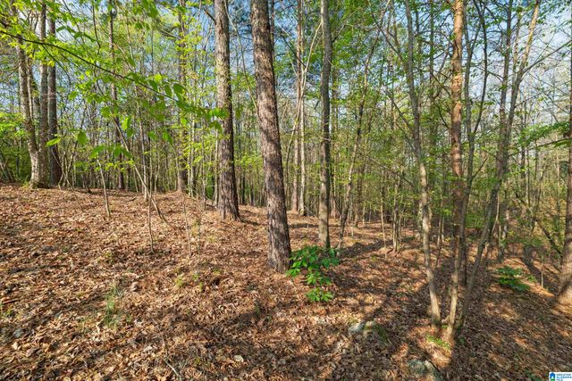 109 BENTMOOR CIRCLE, Helena, AL 35080