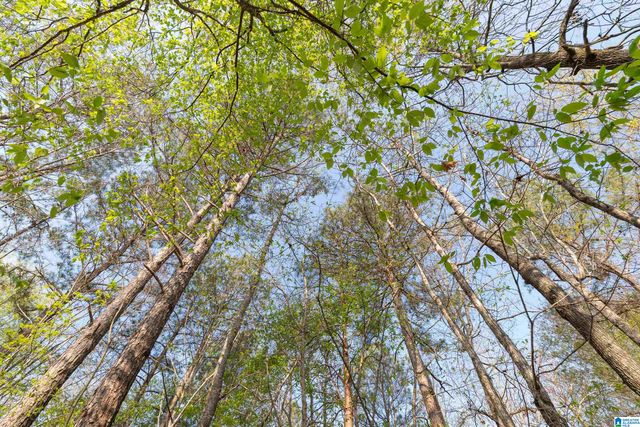 109 BENTMOOR CIRCLE, Helena, AL 35080